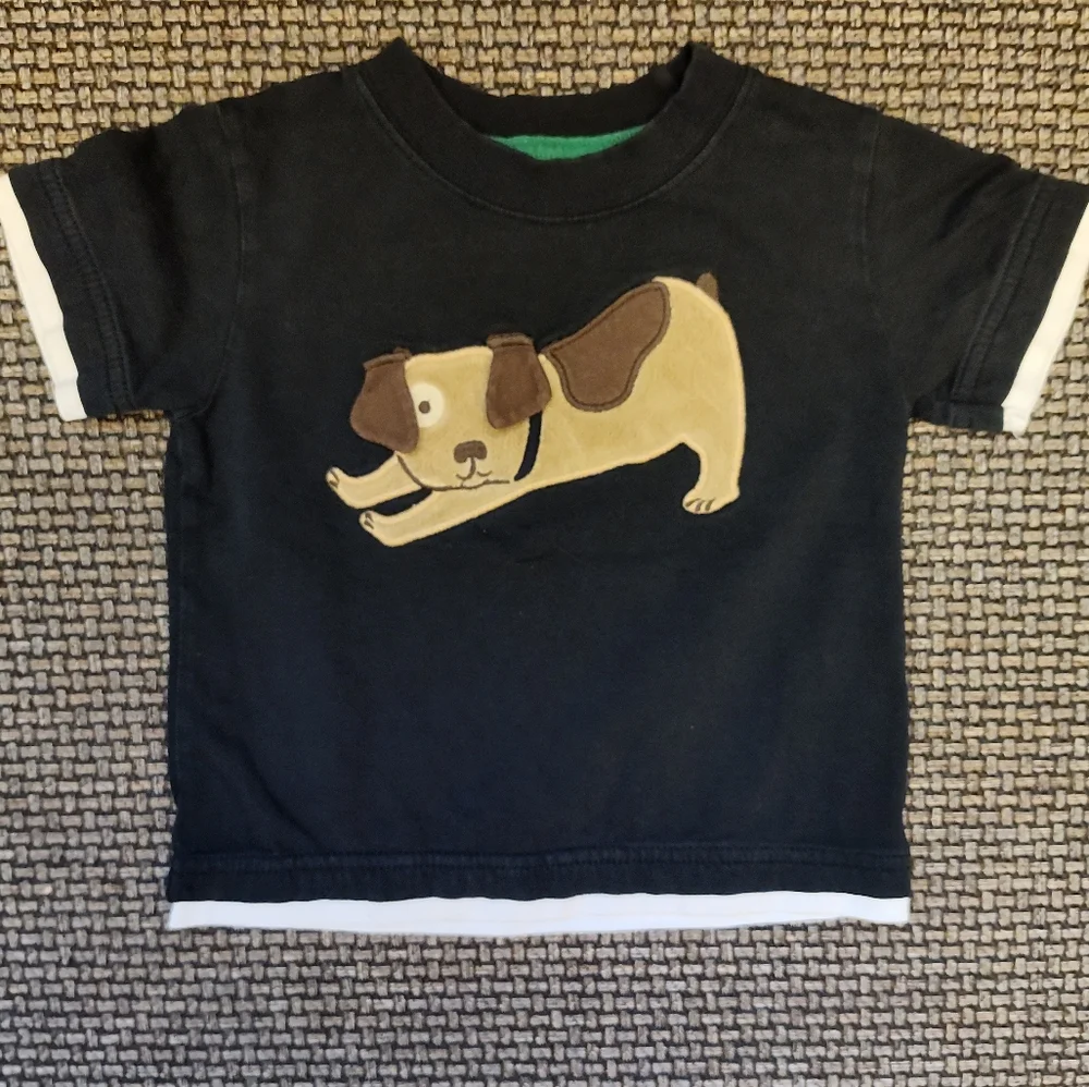 Gymboree Boys Set of 3 Graphic T-Shirts